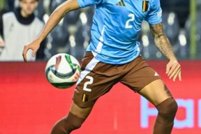 NG体育-德罗巴新星高光表现表现惊艳，瑞士队未来可期！的简单介绍